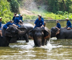 นั่งรถโดยสารประจำทาง เที่ยวศูนย์อนุรักษ์ช้างไทย จ.ลำปาง