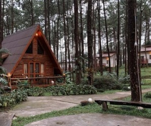 เที่ยวสวนสนบ่อแก้ว เชียงใหม่ ด้วยรถประจำทาง
