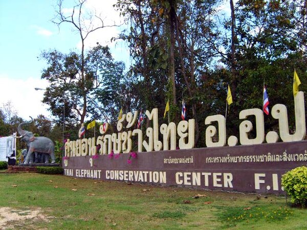 ศูนย์อนุรักษ์ช้างไทย จ.ลำปาง ศูนย์อนุรักษ์ช้างไทย