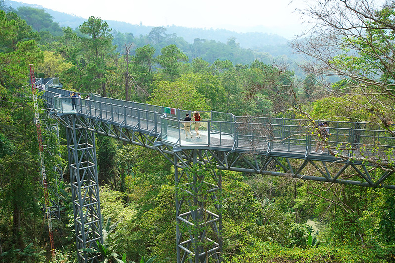 เส้นทาง Canopy Walks