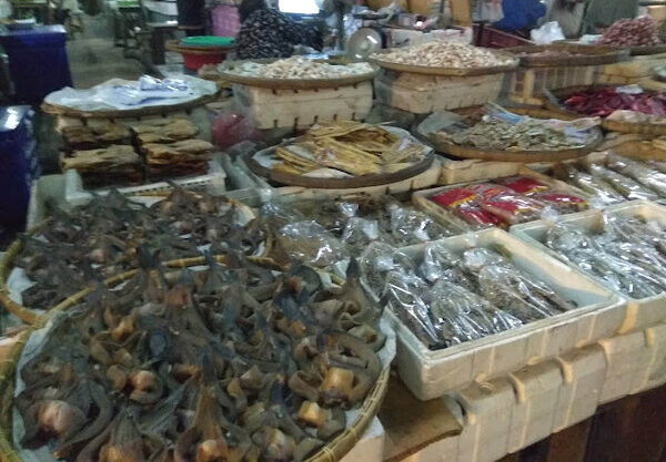 ตลาดเช้าศรีสะเกษ ตลาดสดเทศบาลตำบลกำแพง ร้านอาหารแห้ง