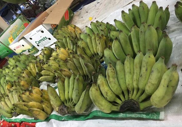 ตลาดขายของสด ตลาดเย็นป่าติ้ว กล้วยน้ำว้า