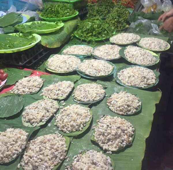 ตลาดเย็นเมืองเลย ของป่าตามฤดูกาล