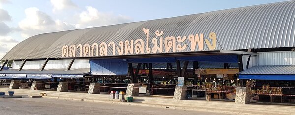 ตลาดกลางผลไม้ตะพง จ.ระยอง ตลาดกลางผลไม้ตะพง