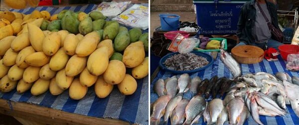 ตลาดสดอุดรธานี ผลไม้