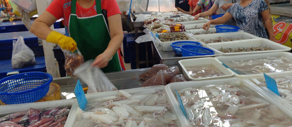 ตลาดเสรี ตลาดเช้านครปฐม ร้านของทะเล