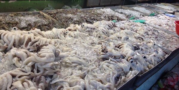 ตลาดเย็นเมืองเลย ร้านของทะเล
