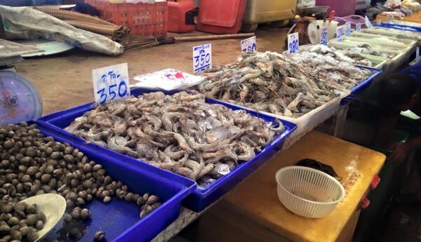 ตลาดสดประโคนชัย ตลาดสดเทศบาลตำบลประโคนชัย ร้านของทะเล