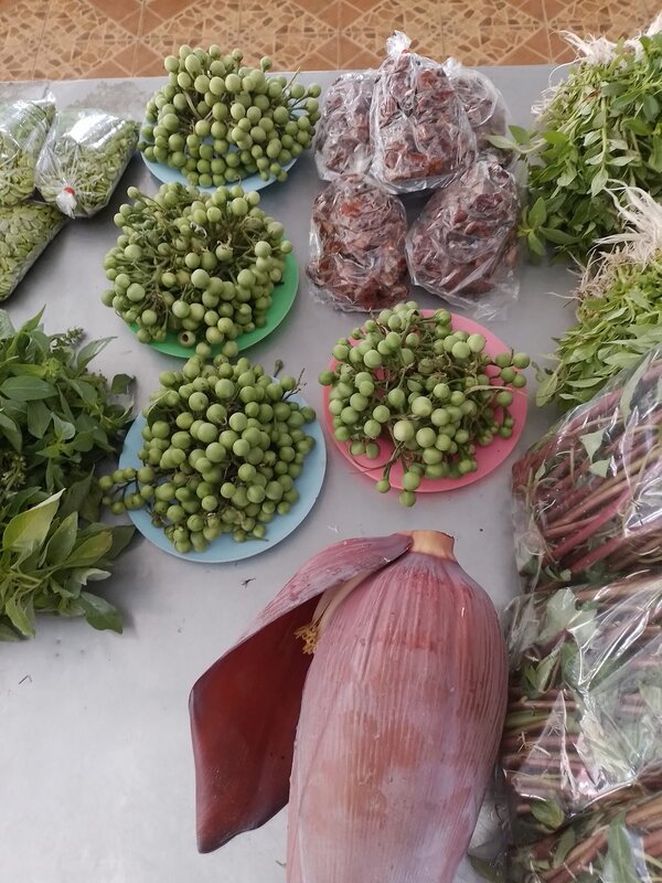 ตลาดโนนสัง ตลาดสดหนองบัวลำภู ร้านของพื้นบ้าน