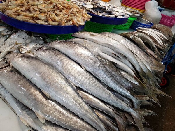 ตลาดเงินวิจิตร ตลาดเช้าคลองสาน ร้านขายของทะเล