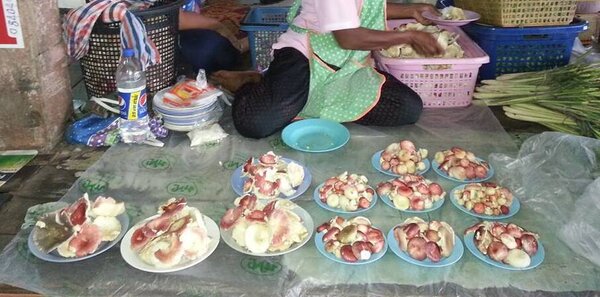 ตลาดสดเชียงราย ตลาดหัวเวียง ร้านขายของป่า