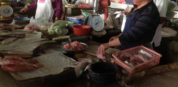 ตลาดสดเทศบาลปทุมธานี ตลาดเช้า ปทุมธานี ร้านขายของสด