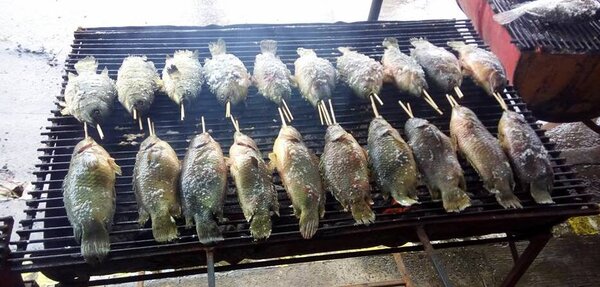 ตลาดสดสุรินทร์ ร้านขายปลาเผา