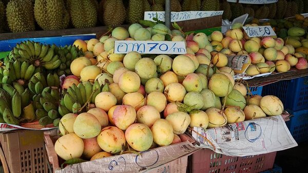ตลาดกลางผลไม้ตะพง ร้านขายผลไม้