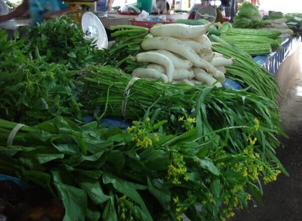 กาดประตูเชียงใหม่ ร้านขายผัก