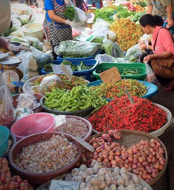 ตลาดเช้าอุดรธานี ตลาดสดเทศบาล 1 ร้านขายผัก