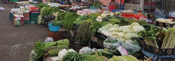 ตลาดสดเทศบาลจตุรพักตรพิมาน ร้านขายผัก