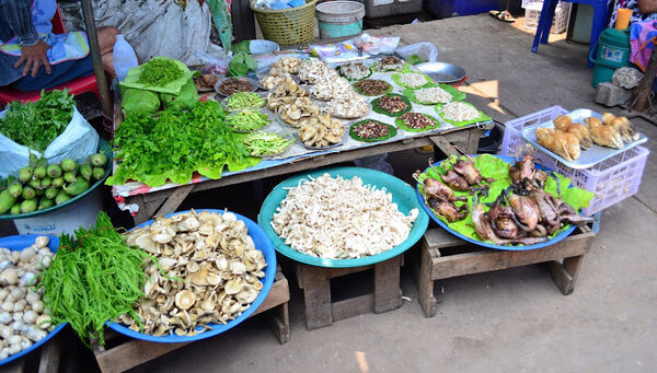 ตลาดสด กาฬสินธุ์ ตลาดสดเทศบาลตำบลสมเด็จ ร้านขายผัก ของป่า