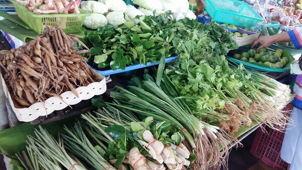 ตลาดเช้า ปทุมธานี ตลาดสดเทศบาลเมืองปทุมธานี ร้านขายผักสวนครัว