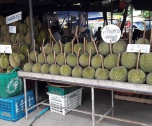 ตลาดกลางผลไม้ตะพง จ.ระยอง เปิดขายทุกวัน เวลา 03.00-20.00 น.