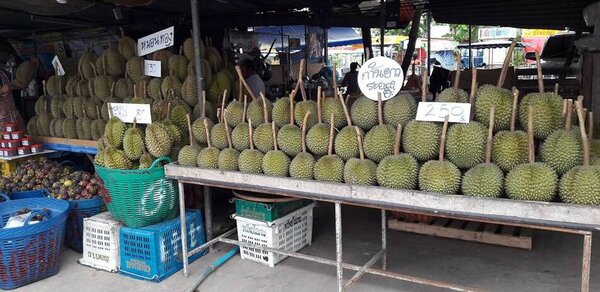 ตลาดกลางผลไม้ตะพง ร้านทุเรียน
