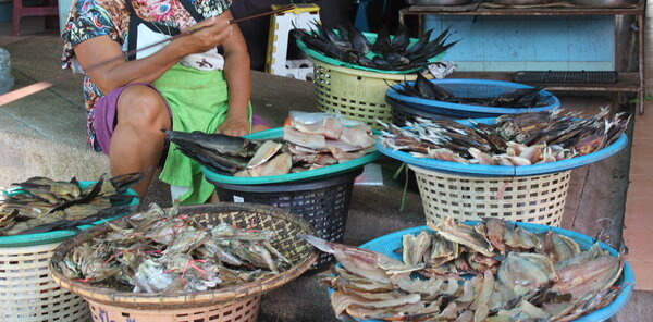 ตลาดควนขนุน พัทลุง ตลาดสดเทศบาลควนขนุน ร้านปลาแดดเดียว