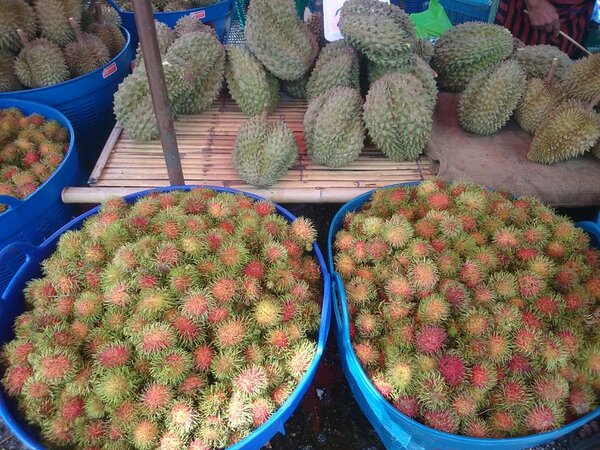 ตลาดกลางผลไม้ตะพง ร้านผลไม้สด