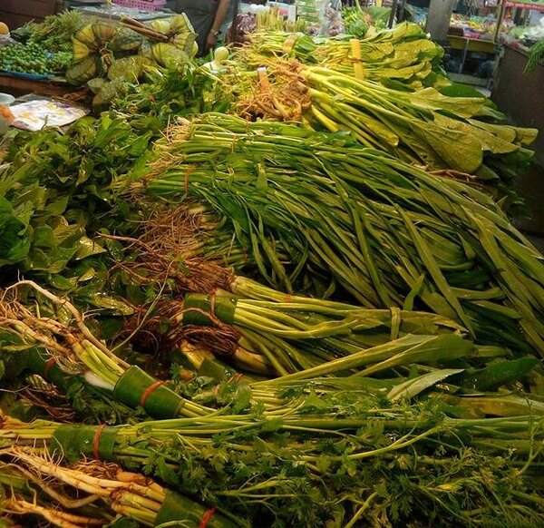 กาดก้อม ร้านผัก