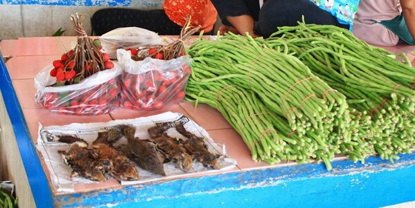ตลาดสด สกลนคร ตลาดสดเทศบาลตำบลกุดบาก ร้านผัก ของป่า