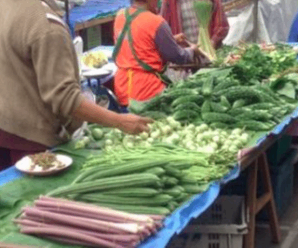 ตลาดเช้าชัยนาท ตลาดสดภาษีซุง อยู่ใกล้กับแม่น้ำเจ้าพระยา