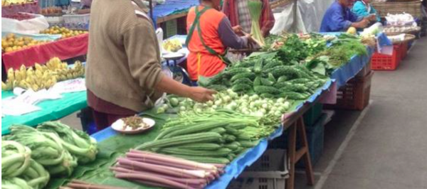 ตลาดภาษีซุง ตลาดสด ชัยนาท ร้านผัก ผลไม้