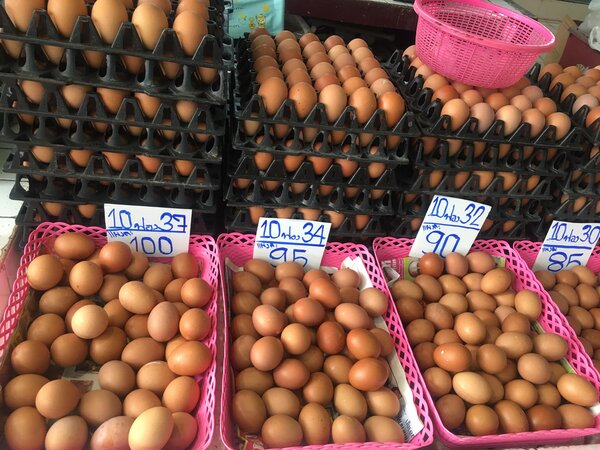 ตลาดเช้าอยุธยา ร้านไข่