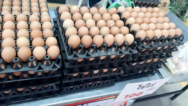 ตลาดเสรี ตลาดเช้านครปฐม ร้านไข่