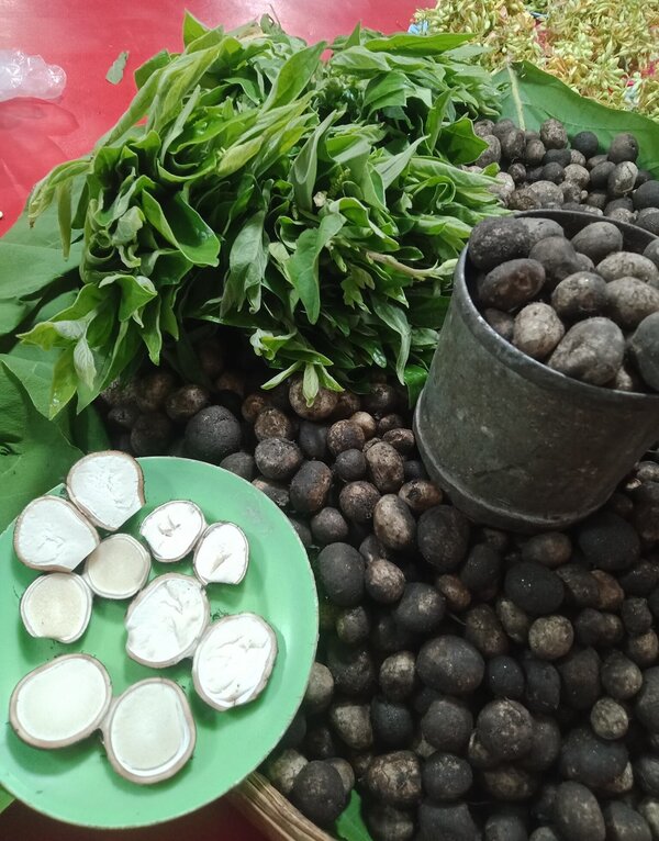 เห็ดเผาะ