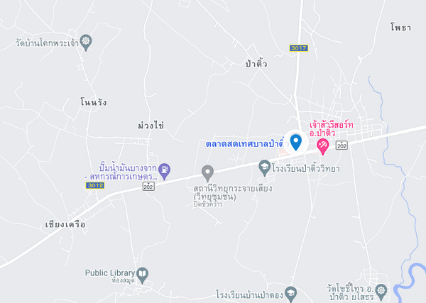 แผนที่ตั้งตลาดเทศบาลป่าติ้ว แผนที่ตลาดสดเทศบาลป่าติ้ว