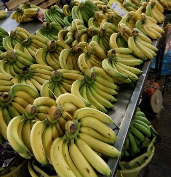 ตลาดเช้ากาฬสินธุ์ ตลาดสดเทศบาลเมืองกาฬสินธุ์ ร้านกล้วยหอม