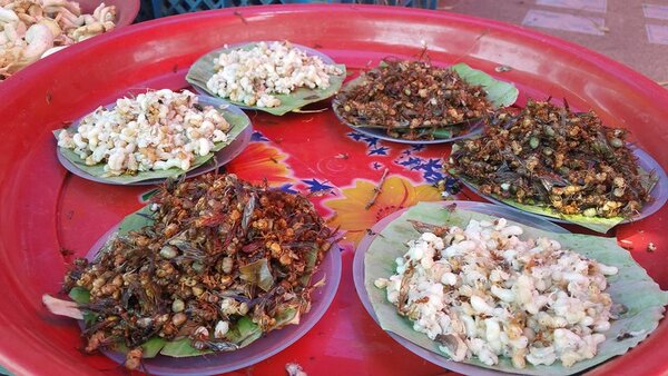 ตลาดสดมหาสารคาม ตลาดเทศบาลตำบลบรบือ ร้านของตามฤดูกาล