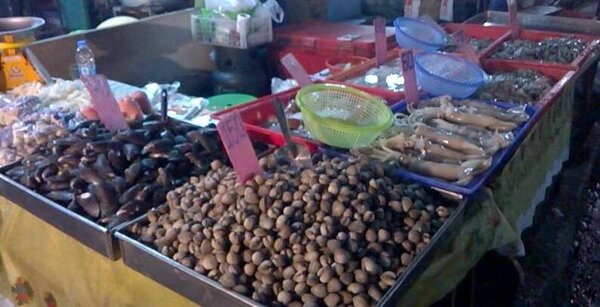 ตลาดสดนครราชสีมา ตลาดประปายุคใหม่ ร้านของทะเล