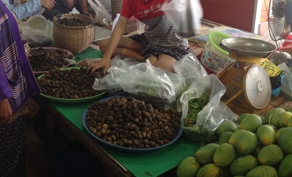 ตลาดสดพรเพชร ตลาดสดมุกดาหาร ร้านของป่า
