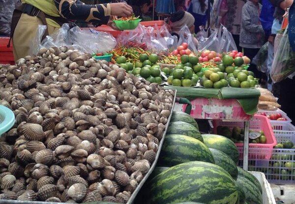 ตลาดสดเทศบาลตำบลบ้านแพง ตลาดสดนครพนม ร้านของสด