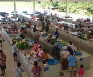 ตลาดเช้าเมืองเลย ตลาดสดเทศบาลตำบลน้ำสวย ตลาดอยู่ใกล้กับวัดบ้านเพีย
