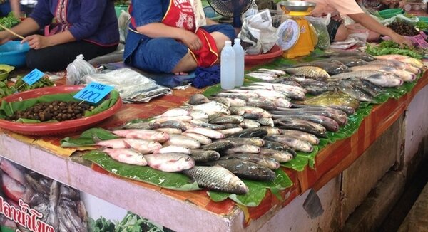 ตลาดวัฒนธรรมพรเพชร มุกดาหาร ร้านปลา