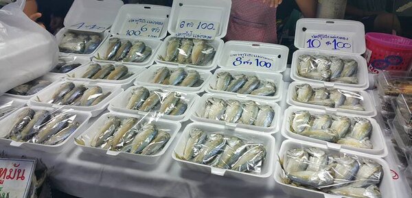 ตลาดสดสมุทรสงคราม ตลาดสดเทศบาลเมืองสมุทรสงคราม (ตลาดแม่กลอง) ร้านปลาทู