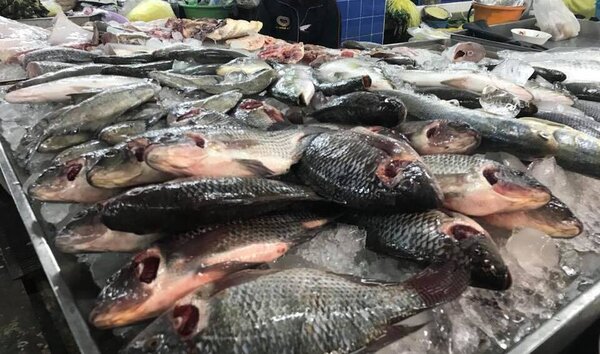 ตลาดสดเทศบาลเมืองตราด ตลาดสดตราด ร้านปลาสด
