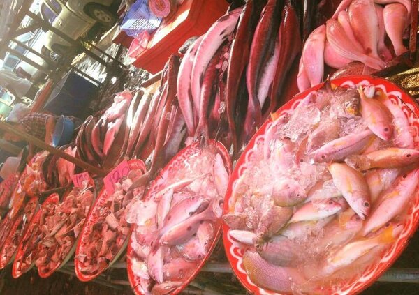 ตลาดสดโคกกลอย ตลาดสดเทศบาลตำบลโคกกลอย ร้านปลาสด