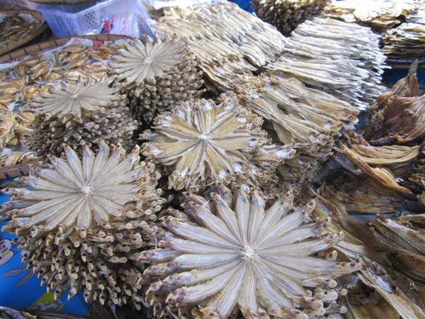 ตลาดสดเทศบาล 1 สกลนคร ร้านปลาแห้ง