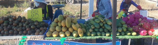 ตลาดสดเทศบาลตำบลทุ่งหว้า ร้านผลไม้
