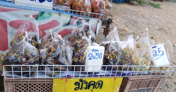 ตลาดเช้าชัยภูมิ ตลาดสดเทศบาลตำบลหนองบัวระเหว ร้านผลไม้
