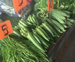 ตลาดเช้าอุตรดิตถ์ ตลาดสดวังสีสูบ ใกล้กับวงเวียนแยกวังสีสูบ