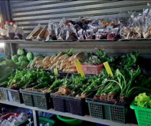 ตลาดสดสุโขทัย ตลาดสดเทศบาลตำบลศรีสัชนาลัย อยู่ตรงข้ามกับไปรษณีย์ไทย สาขาท่าชัย